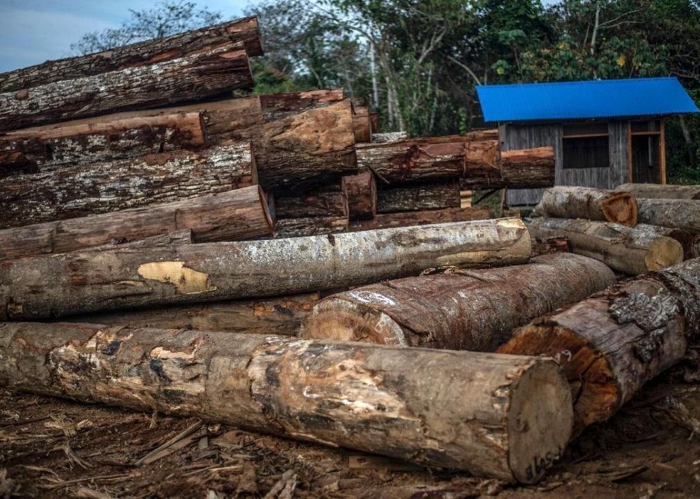 Wood